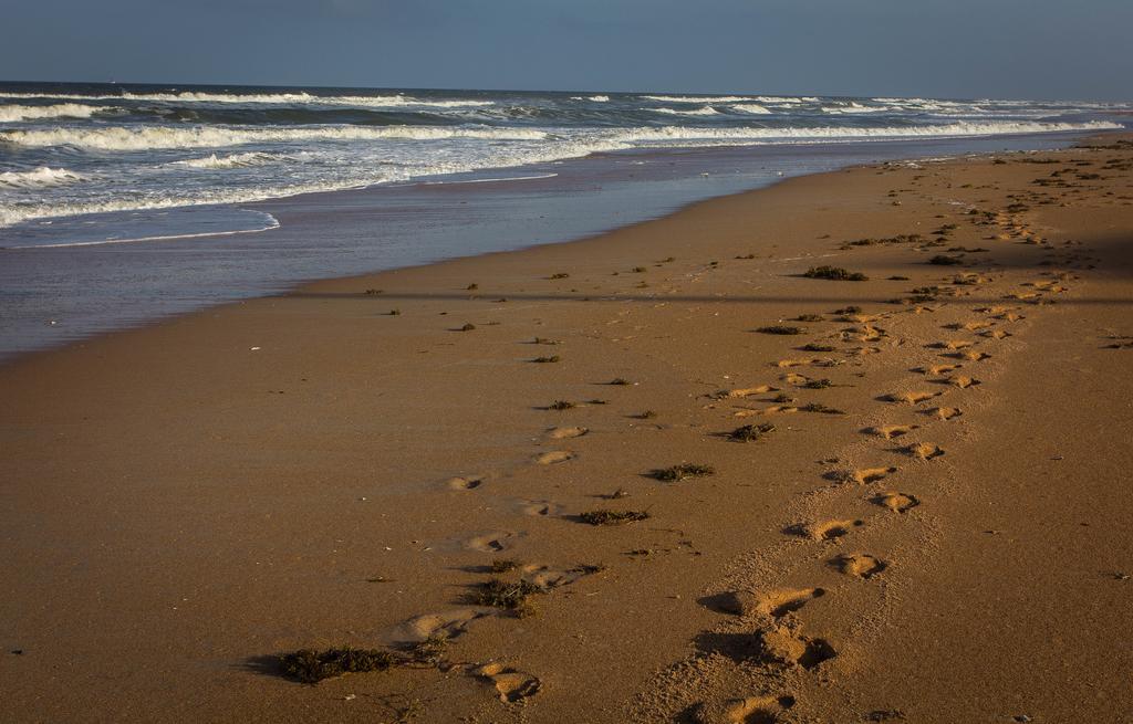 View The Ocean At Flagler Beach, Florida Ngoại thất bức ảnh